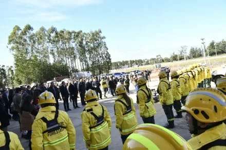 Apuesta al desarrollo forestal con el nuevo parque industrial